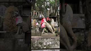 Fushimi Inari Shrine Kyoto [upl. by Cristobal]