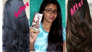 How to highlight black hair at home for cheap [upl. by Siderf]