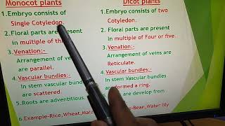 Difference between Monocot and Dicot plants [upl. by Ibor]