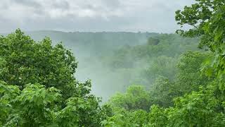 Bernheim Forest  Clermont KY [upl. by Adnahsal300]