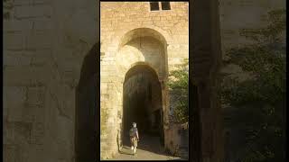 Cordes sur Ciel un des plus beaux village de France plusbeauvillagedefrance cordessurciel [upl. by Twelve]