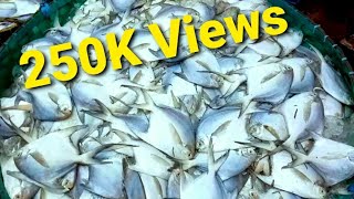 Biggest Fish Market In Chittagong Bangladesh  Fisheri Ghat [upl. by Sherrer326]