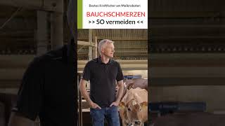 Wie kühe besser zum melkroboter laufen Bauchschmerzen bei Kühen vermeiden lely delaval [upl. by Beitz]