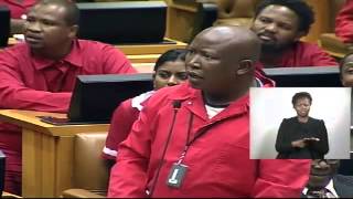 Malema questions honorable Mashiles report funny [upl. by Ayotal]