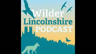 Episode 11 Lincolnshires Ancient Woodland [upl. by Bleier774]