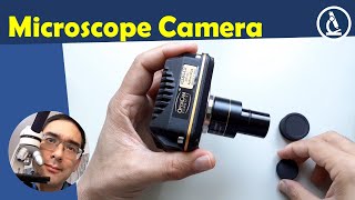 🔬 USB Microscope Camera review  Amateur Microscopy [upl. by Towrey]