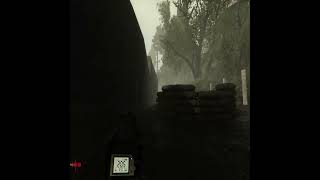 Cinematic Stalker Anomaly edit shortsvideo shorts short edit stalkeranomaly [upl. by Adas]