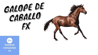 Caballo Galopando  🔊 Efecto de Sonido [upl. by Latsyrhc]