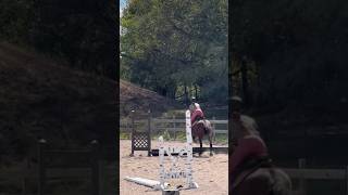 Last video from this lesson promise horse [upl. by Asselem]