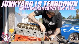 Junkyard LS Motor Teardown What To Look For [upl. by Htnnek]