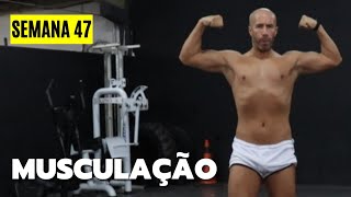 SEMANA 47  DISSERAM que SERIA FÁCIL  Musculação [upl. by Nedrah]