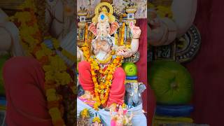 SHREE GANESHA  vinodvlogs215 devashreeganeshasong trending ganeshfestival ytshorts god yt [upl. by Nudnarb300]