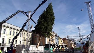 Trasporto e posa albero di natale  Piazza Grande Locarno [upl. by Steel]