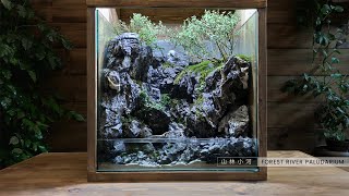 making forest river  paludarium  Aquaterrarium  DIY Filter [upl. by Brindell]