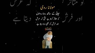 Moulana Rumi Quotes in Urdu romiquotes quotes viralpost ytshorts viralvideo explore 1million [upl. by Lleraj]