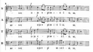 Bass Mozart K275 Credo Missa Brevis Score [upl. by Bust299]