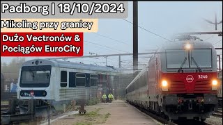 Mikoling przy granicy niemieckiej 🇩🇪  Padborg 1810 2024 [upl. by Introc]