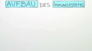 Aufbau des Immunsystems Teil I  Die unspezifische Abwehr  Biologie  Humanbiologie [upl. by Cavill]