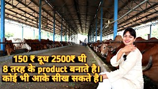 250 देसी गायों का डेयरी फार्म। Desi cow dairy farm । Dairy farming in India।India farming management [upl. by Lalat495]