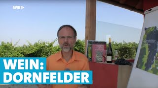 Werner erklärt Wein Dornfelder [upl. by Lantha]