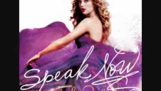 Taylor Swift quotHauntedquot Lyrics [upl. by Ennairol]