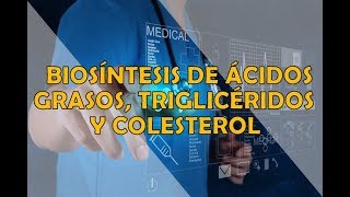 BIOSINTESIS DE LIPIDOS Ácidos grasos Triacilglicéridos y Colesterol [upl. by Einama]