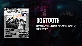 Dogtooth live  Rumah Api  September 21 2024 [upl. by Akiehsal172]