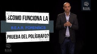 ¿Como funciona el funcionamiento pasos etapas de una prueba de polígrafo detector de mentiras [upl. by Clarita]