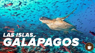 Las Islas Galapagos Historia del Archipielago Encantado [upl. by Daveta]