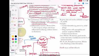 Hypersensitivity type 4 immunology 39  First Aid USMLE Step 1 in UrduHindi [upl. by Leile734]