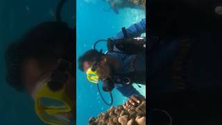 scubaworld scuba scubadiving lakshadweep adventure keralanews worldnews entertainment sea 🤿 [upl. by Isteb]