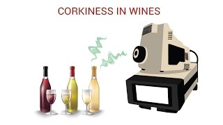 Corkiness in Wines [upl. by Nessej865]