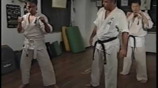 Shidokan Videos 01 [upl. by Ilamad879]