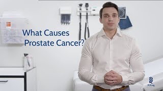 What Causes Prostate Cancer [upl. by Yema809]