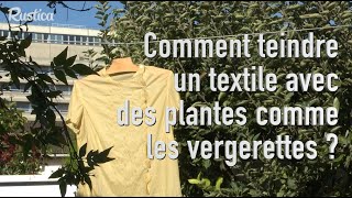 Comment teindre un tissu avec une plante tinctoriale [upl. by Celia]