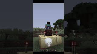 Herobrine auto scary entity minecraft minecraftshorts hirobrine [upl. by Itak]