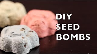 How To Make Seed Bombs  Seed Balls  Craft Idea DIY [upl. by Thais]