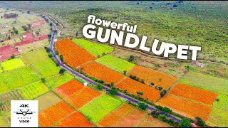 Gundlupete The Flower Farms of Karnataka  Gopalaswamy Betta  4K Drone Video [upl. by Leverett]