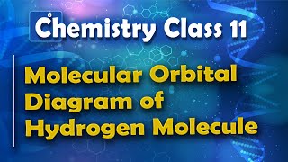 Molecular Orbital Diagram of Hydrogen Molecule  Nature of Chemical Bond  Chemistry Class 11 [upl. by Ellak]