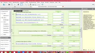 Elster  ElsterFormular Steuererklärung Sonderausgaben Spenden und Mitgliedsbeiträge [upl. by Mahla]