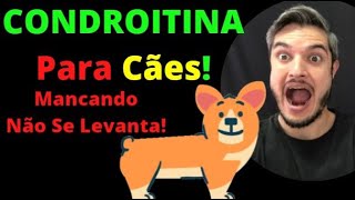 CONDROITINA e Glucosamina Cachorro Mancando Problemas de Coluna Displasia com Dor Articulações Cães [upl. by Rap]