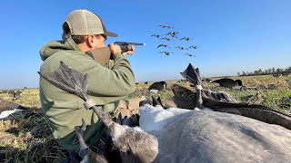 We shot A Rare Rivet Band while Goose Hunting Double Banded [upl. by Tice]