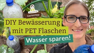 DIY Tropfbewässerung mit PET Flaschen  Ollas selber basteln und Wasser sparen beim Gießen [upl. by Stephen]