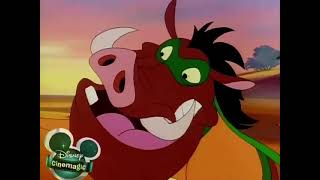 Timon and Pumbaa Episode 7  The Pain in Spain [upl. by Suoirtemed]