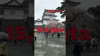 Harga Paket Wisata ke Jepang Mulai dari Rp 16 Jutaan [upl. by Anirehs]