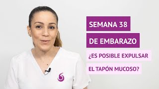 ¿Se puede expulsar el tapón mucoso en la semana 38 de embarazo [upl. by Arnuad383]