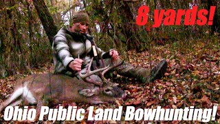 Big Buck Down  Ohio Public Land Archery Hunting 2024 bowhunting [upl. by Eittol59]