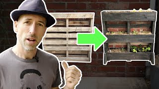 How to make a Cheap and Easy pallet Wall Garden [upl. by Tito]