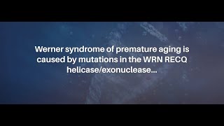 Werner Syndrome RECQ Helicase and Heterochromatin Maintenance in Human Cells  AgingUS [upl. by Pinter]