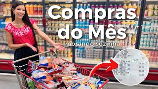 COMPRAS DO MÊS MORANDO SOZINHA 🏠🛒🤑 [upl. by Wailoo]